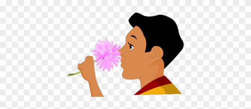 Boy Smelling Flower - We Smell With Our Nose #376154