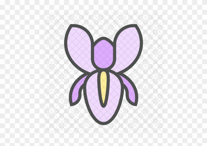 Flower, Iris, Blossom, Nature, Spring Icon - Flower #376203