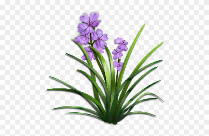 02 Aug 2016 - Plant With Flower Png #376262