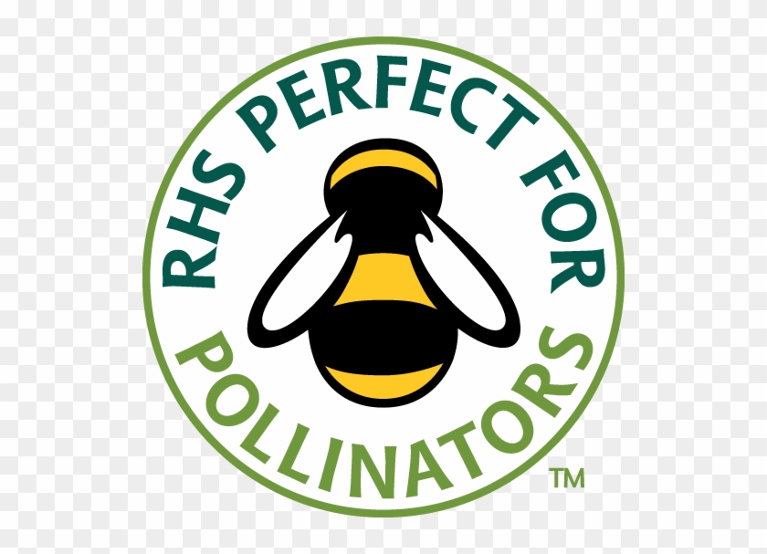 British Wild Flower Plants © 2014 - Perfect For Pollinators Logo #376321