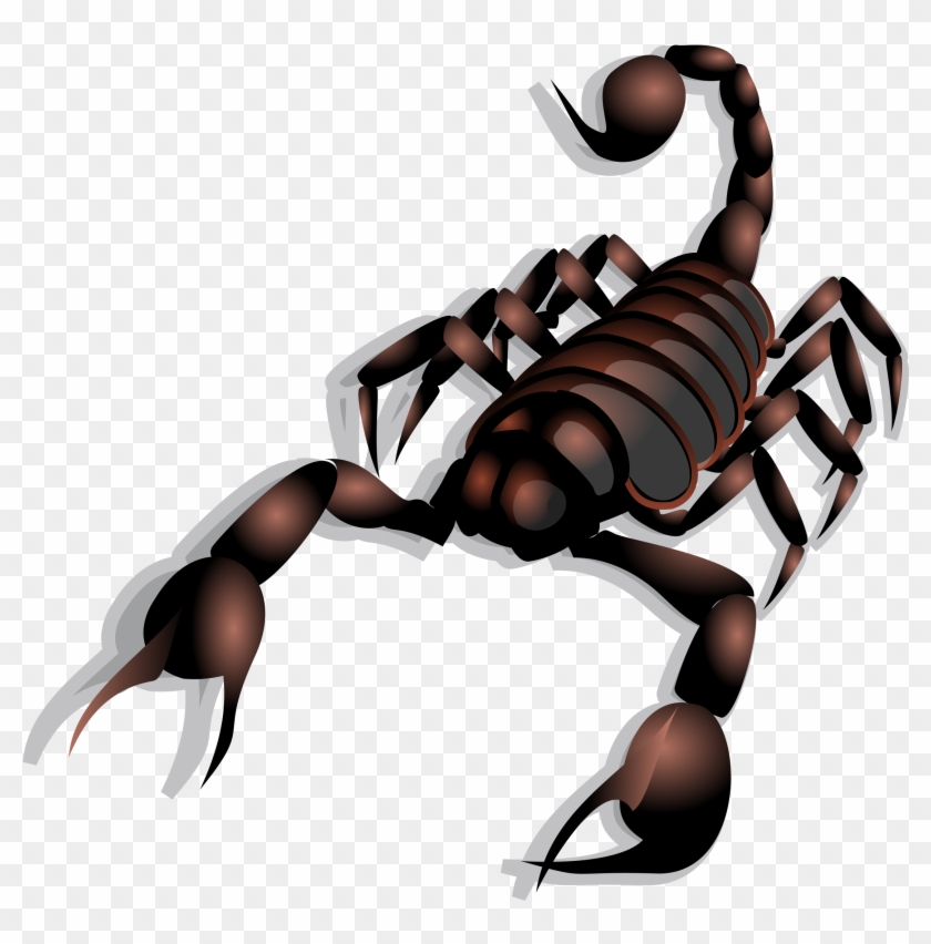 Clip Art Lobster - Clipart Scorpion #376543