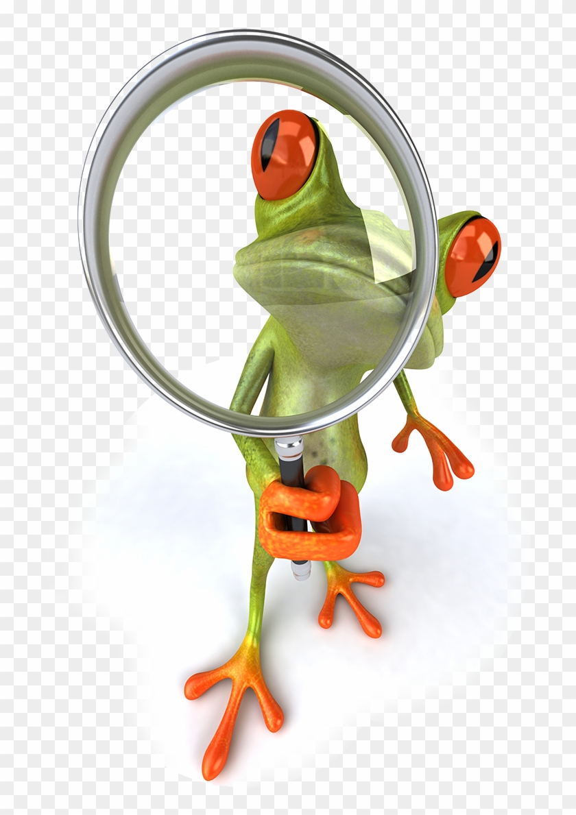 Frog With Magnifying Glass - Frog With Magnifying Glass #376699