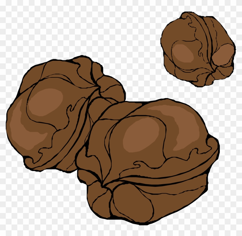 Nuts Cliparts - Walnuts Clipart #376732