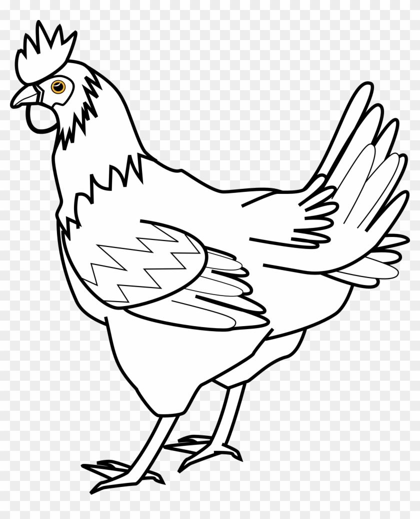 Chicken Clip Art - Drawing Pictures Of Hen #376795