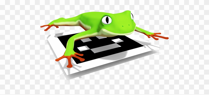 *you Can Check An Interactive 3d Model Here - Green-eyed Tree Frog #376798