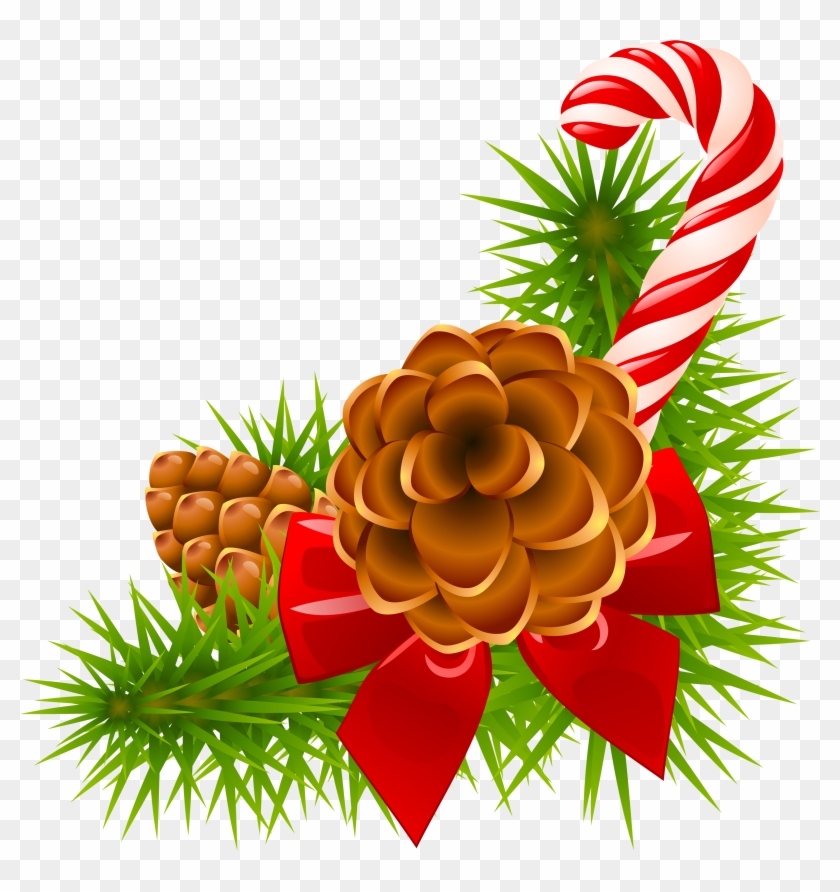 Christmas Pine Branch With Cones And Candy Cane Decor - Christmas Pine Cone Png #378287