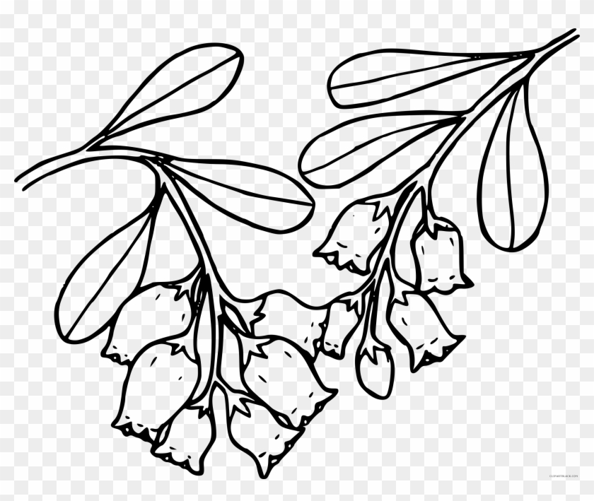 High Quality Bear Animal Free Black White Clipart Images - Bearberry #378355