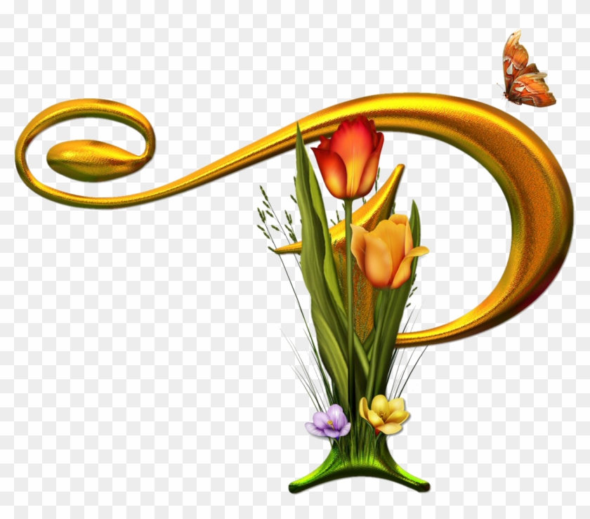 Bello Alfabeto Con Flores Y Mariposas - Bello Alfabeto Con Flores Y Mariposas S #378885