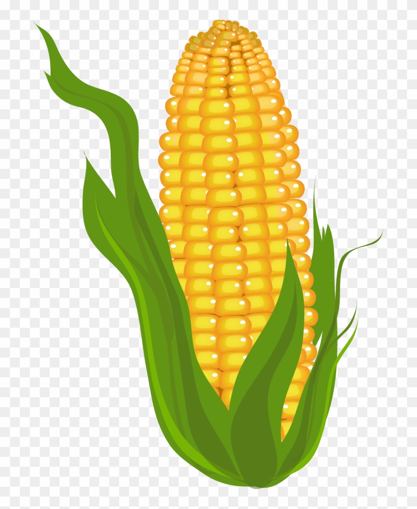 Corn Clip Art Free Free Clipart Images Cliparting Corn - Free Clip Art Corn #378946