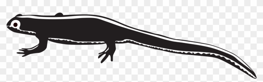 File - Newt Clipart - Svg - Scalable Vector Graphics #379206