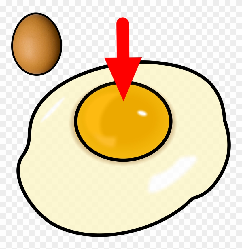Egg Yolk Clipart - Egg Yolk Clipart #379770