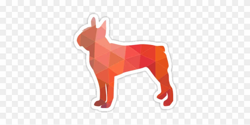 Boston Terrier Dog Colorful Geometric Pattern Silhouette - Alaskan Klee Kai #379954