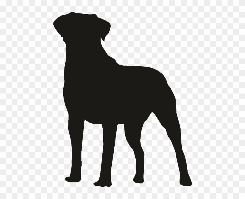 Bulldog The Rottweiler Pug Clip Art - Dog Catches Something #379960