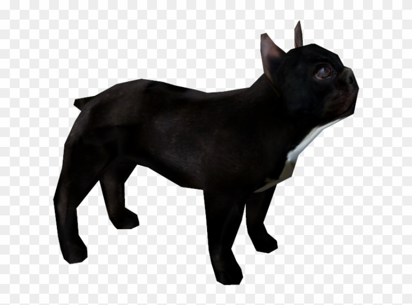 Black Cat #379961