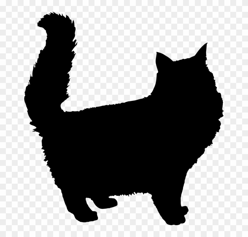 Cats, Silhouette - - Fluffy Cat Silhouette #379998