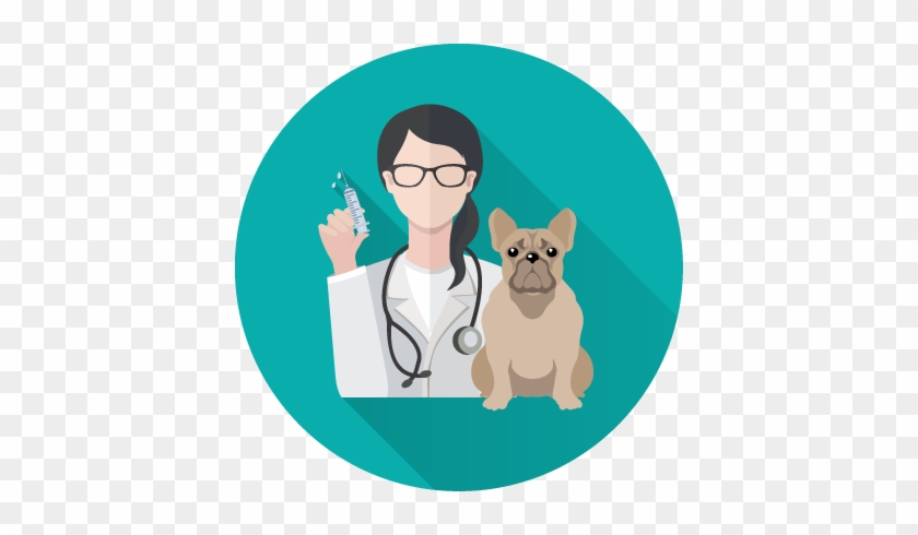 Treatment - Veterinary Medicine #380065