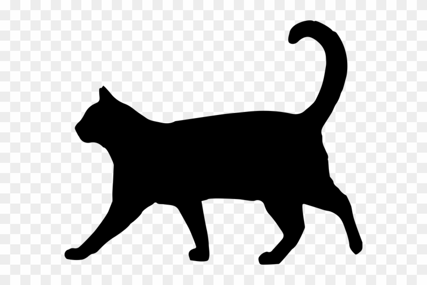 Pin By Roxy Ray On Animals Cat, Black Cats And Animal - Cat Walking Silhouette #380122