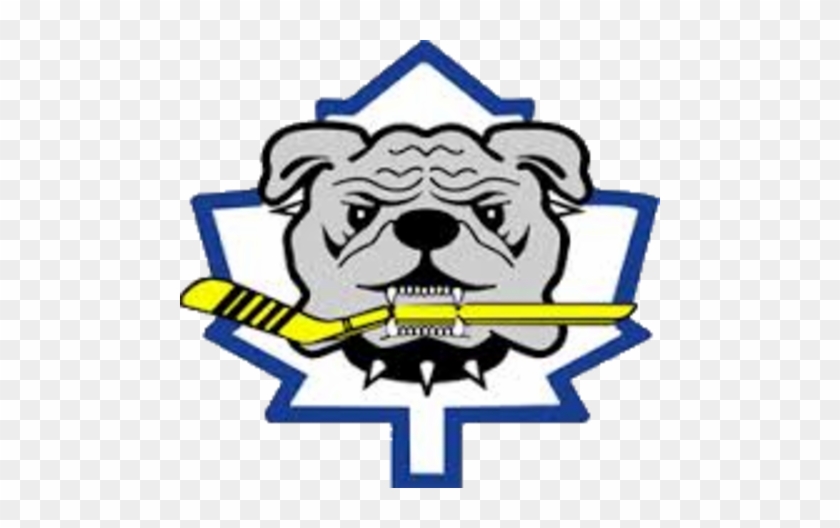 Toronto Bulldogs Logo - Toronto Bulldogs Logo #380141