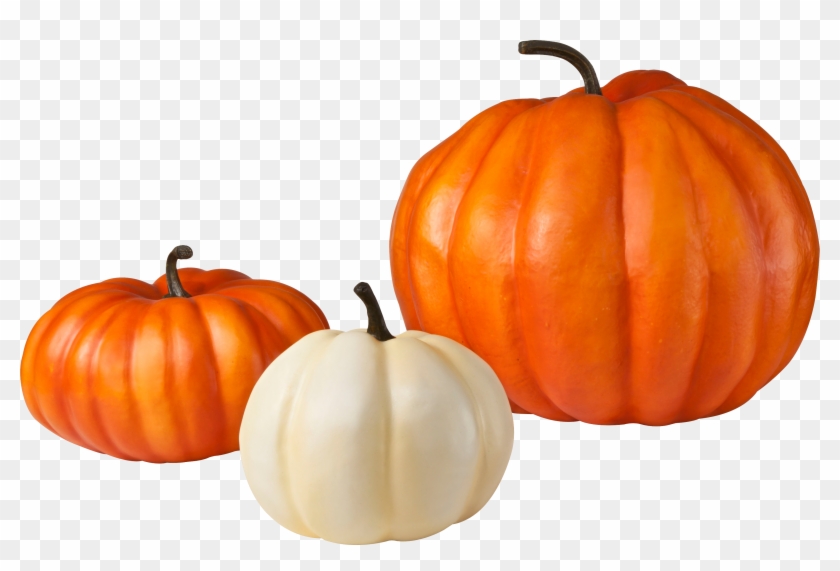 Pumpkin Png9353 Clipart - Pumpkins Png #380417