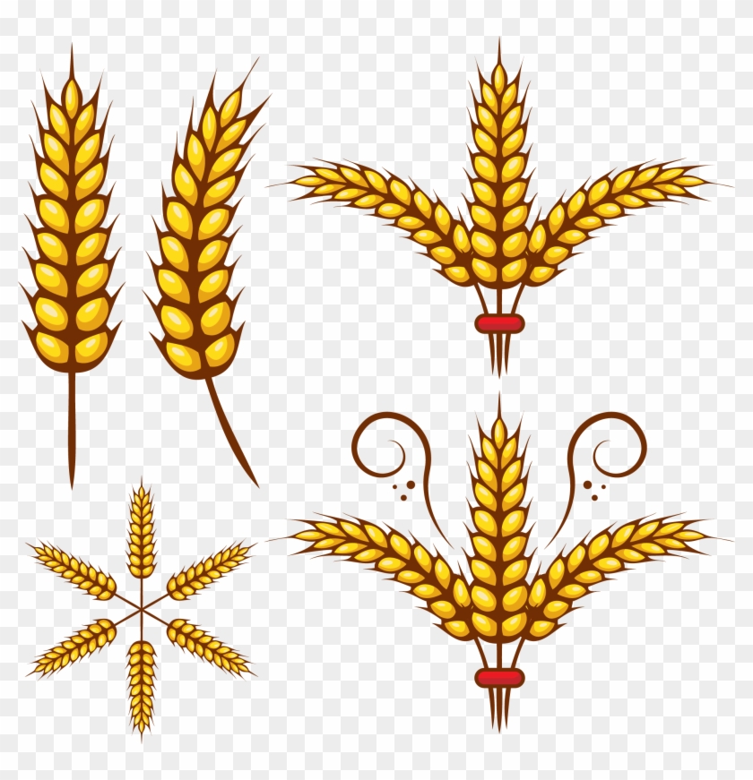 Adobe Illustrator Wheat Clip Art - Clip Art #380495