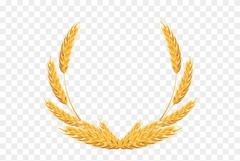 Wheat Decoration Png Clipart Image - Wheat Clipart Png #380497