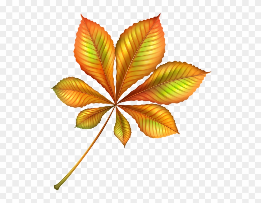 Beautiful Autumn Orange Leaf Png Clipart Image - Beautiful Leaf Png #380544