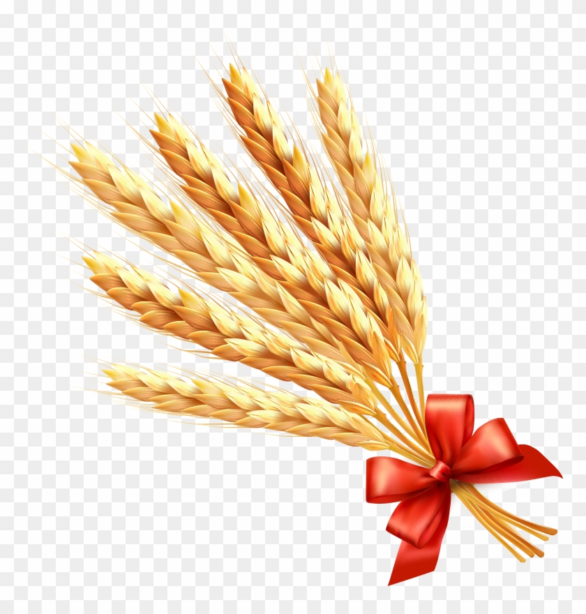 Wheat Ear Cereal Clip Art - Wheat Ear Cereal Clip Art #380562