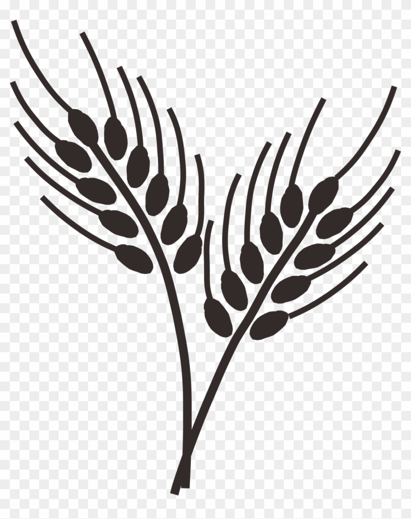 Wheatgrass Drawing Ear Clip Art - Wheat Drawing Png #380582
