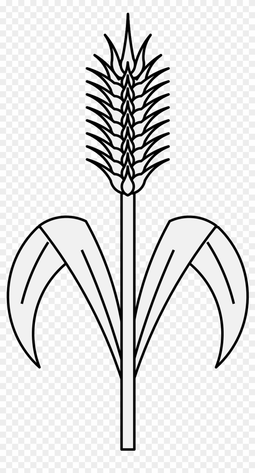 Vector hand drawn wheat doodle illustration. Cute harvest clipart. Farm  market product. 8958926 Vector Art at Vecteezy