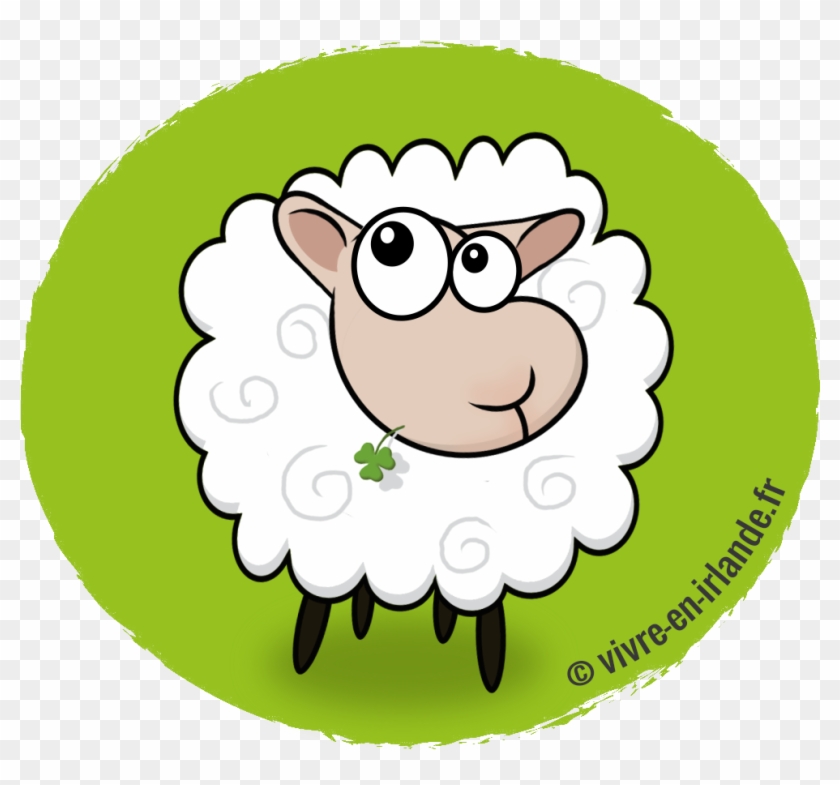 Mouton Irlande - Mouton Irlande Dessin #380879