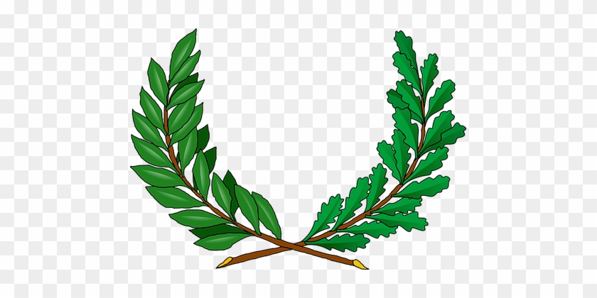 Vines, Green, Branches, Peace, Greek - Vine Coat Of Arms #380923