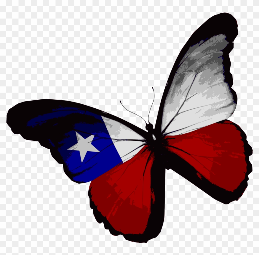 Flag Of Texas Butterfly Flag Of The United States - Chilean Flag Butterfly #381337