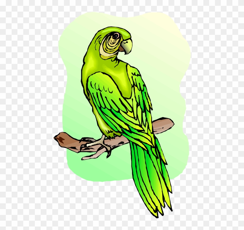 Free Parrot And Macaw Clipart - Parrot #381509