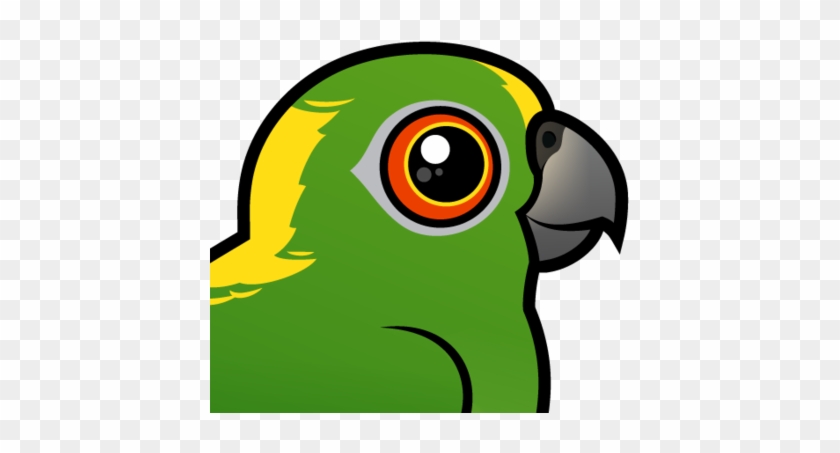 About The Yellow-naped Parrot - Parrot #381518