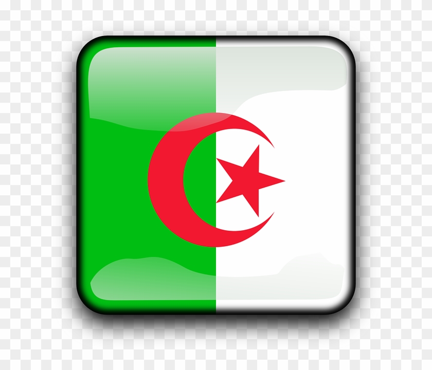 Button Algeria, Flag, Country, Nationality, Square, - Algeria Flag #381674