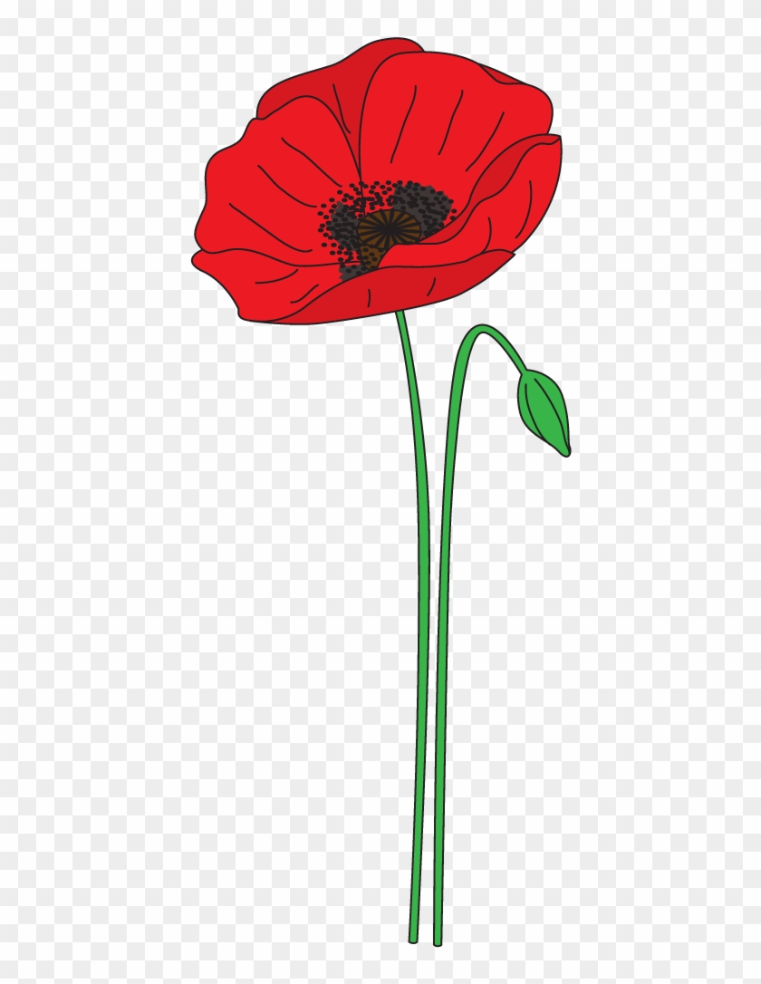 Poppy Clipart Anzac Poppy - Anzac Day Poppy Clipart #381962