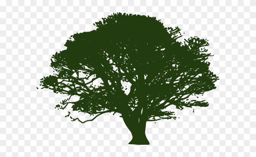 Clip Arts Related To - Shade Tree Clip Art #382022