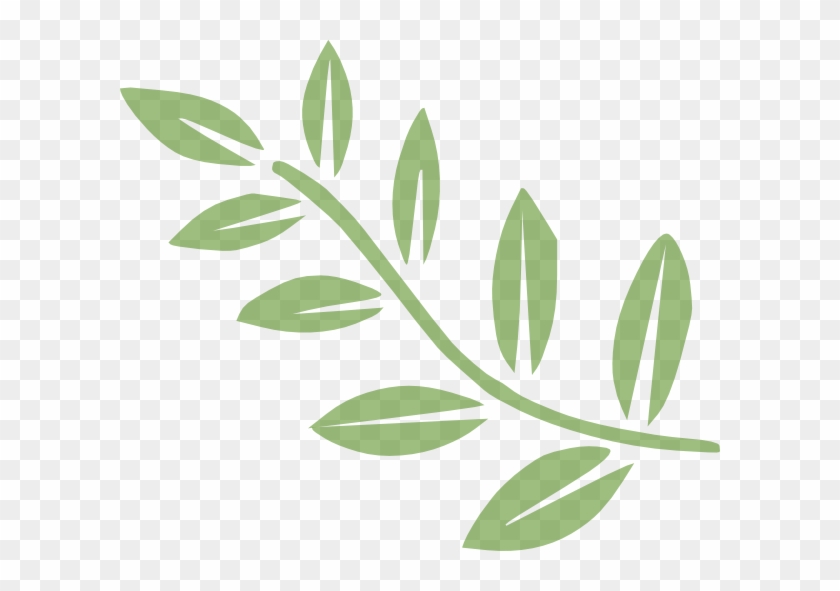 Branch Clipart #382031