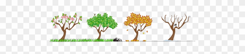 Fall Tree Branch Clipart Png - Seasons Of The Year Uk #382037