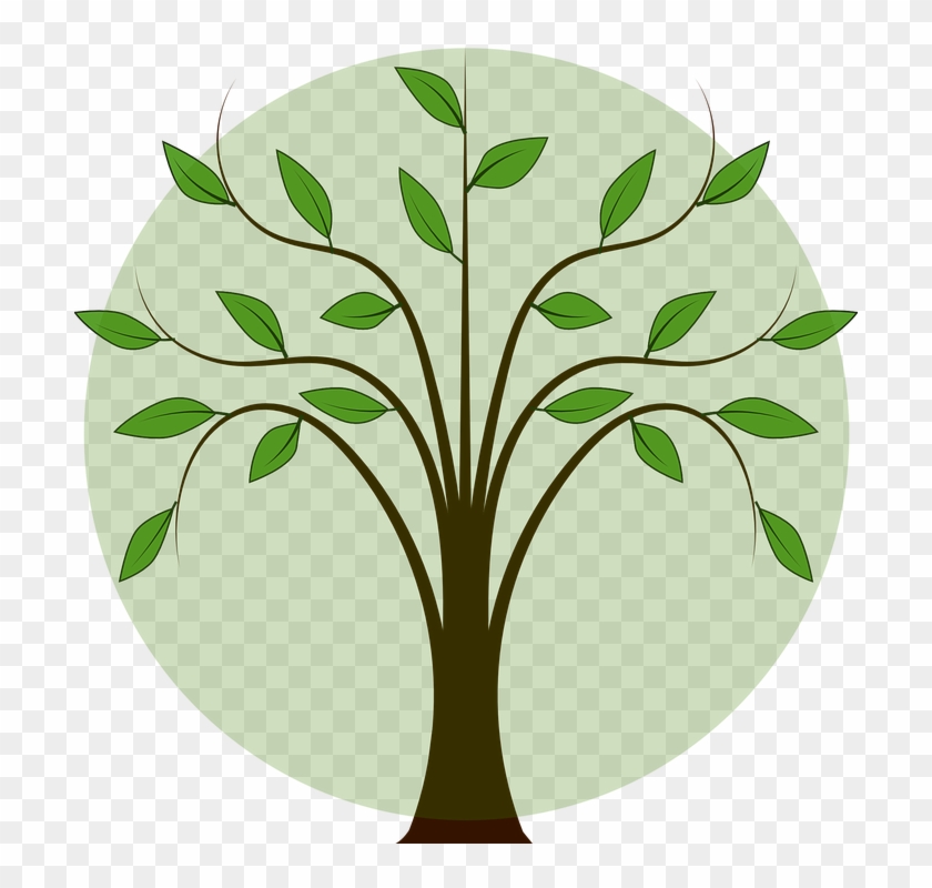 Leafy Branch Cliparts 6, Buy Clip Art - Family Tree Vector Png #382041