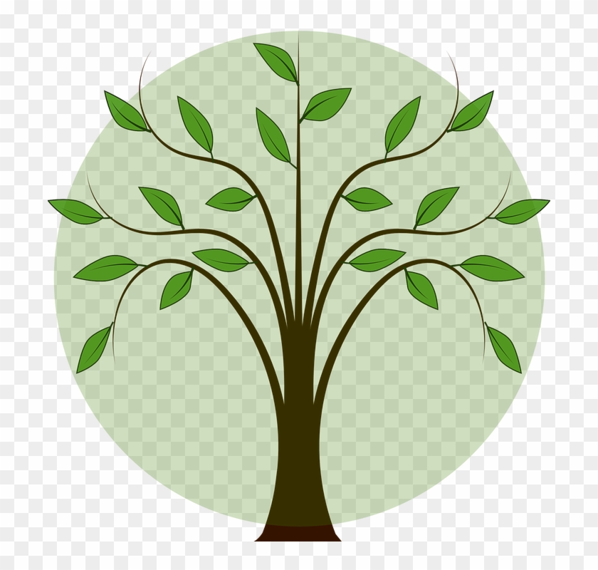 leafy branch cliparts 6 buy clip art family tree vector png family tree clip art