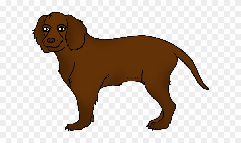 State Dog Of Wisconsin - American Water Spaniel Clipart #382064