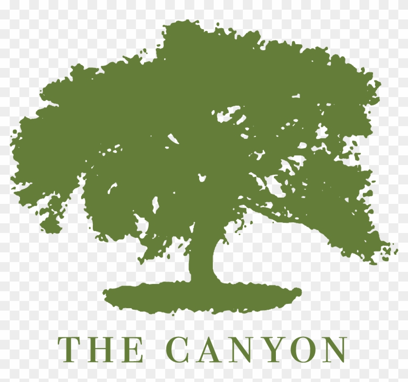 The Canyon At Encino #382071