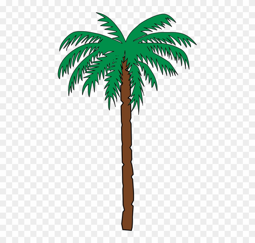 Palm Tree Vector 23, Buy Clip Art - Haiti Coat Of Arms #382104