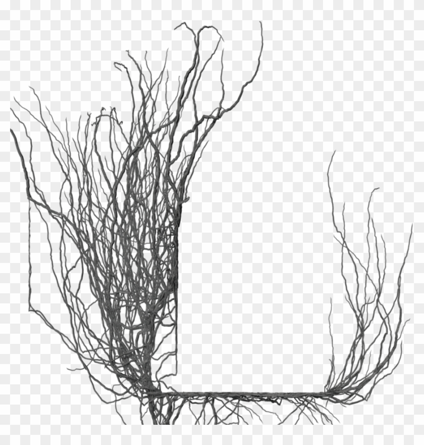 Branch Frame 02 By Brokenwing3dstock - Branch Frame Png #382117