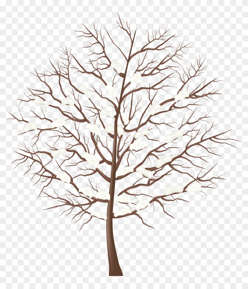 Tree Clipart Winter - Winter Tree Transparent #382127