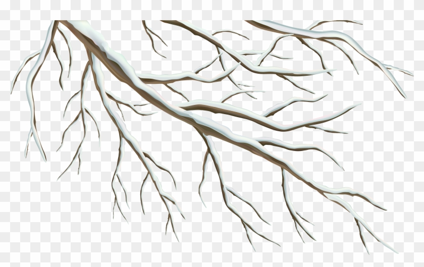 Winter Branch Png Clipart Image - Tree Branches Png #382153