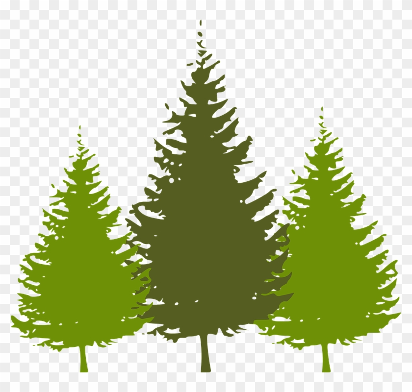 Pine Tree Silhouette Clipart - Pine Tree Silhouette Vector #382200