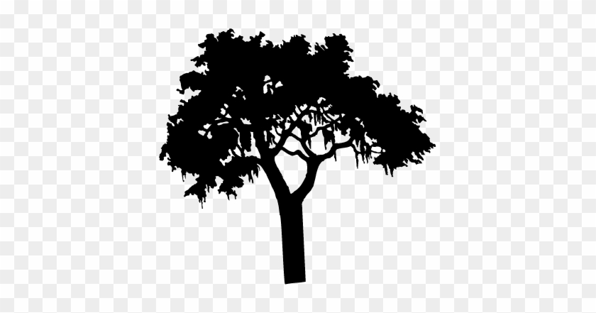 Ideal Tree Silhouette Transparent Background Miscellaneous - Centre Social D Orzy #382205
