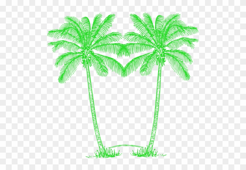 Double Green Palm Tree Image - Green Palm Tree Png #382233